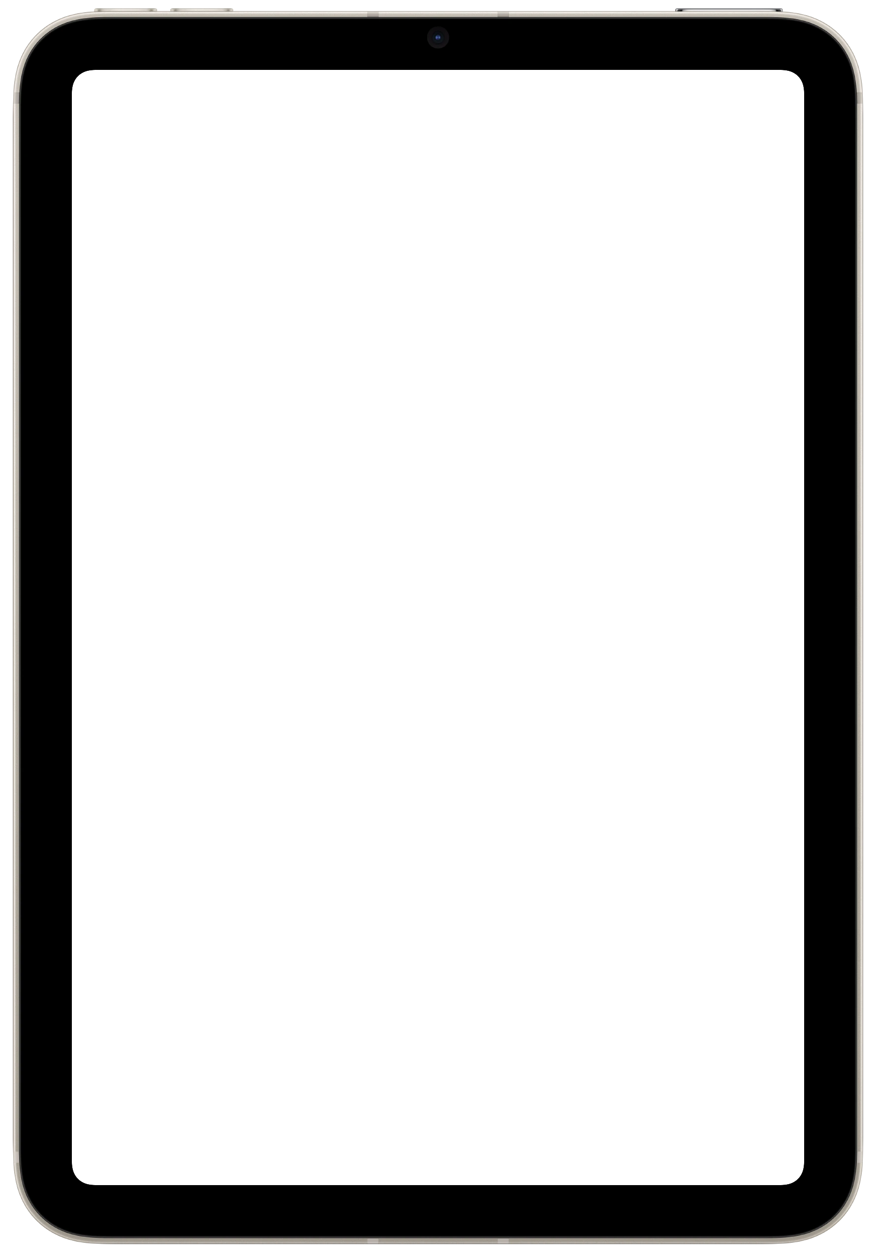 iPad mini